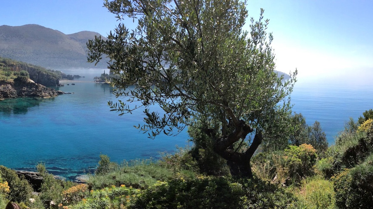Photo of Outdoor in East Mani