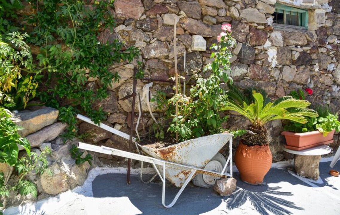 Photo of Outdoor in Tripiti