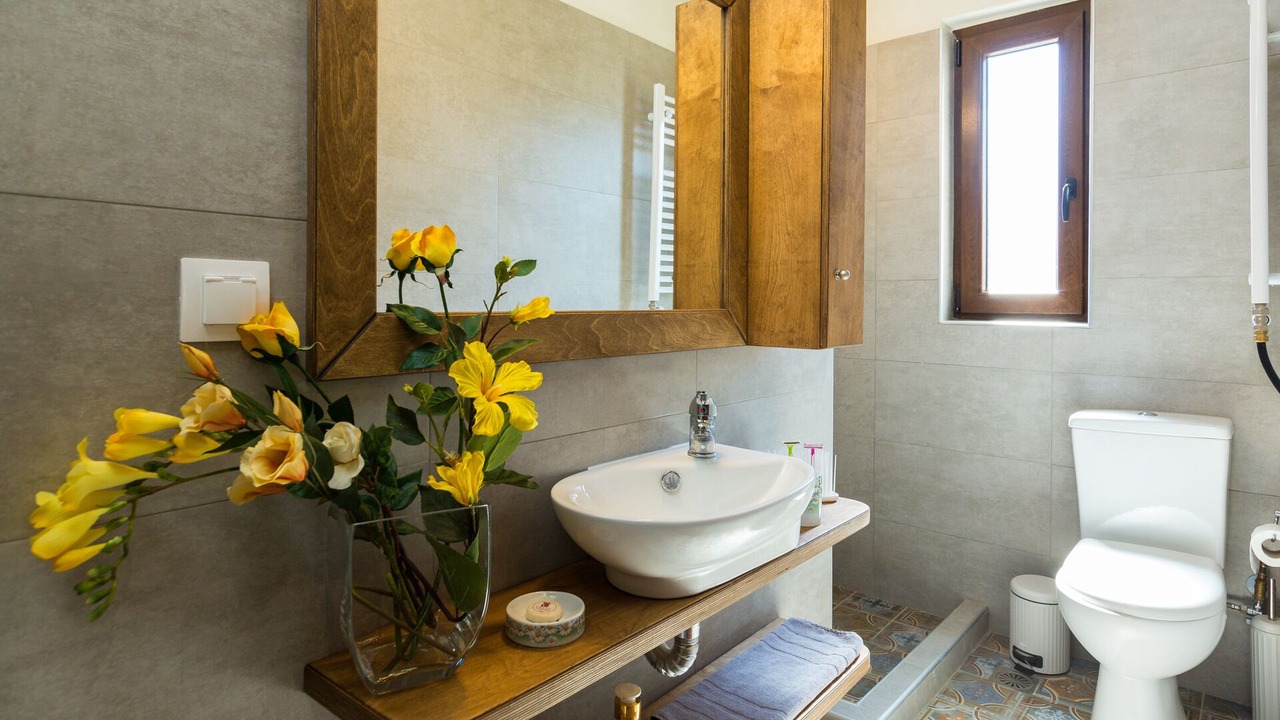 Photo of Bathroom in Panormos