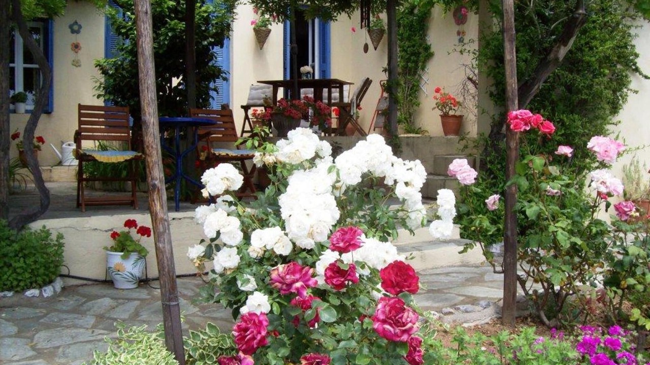 Photo of Outdoor in Katsarou