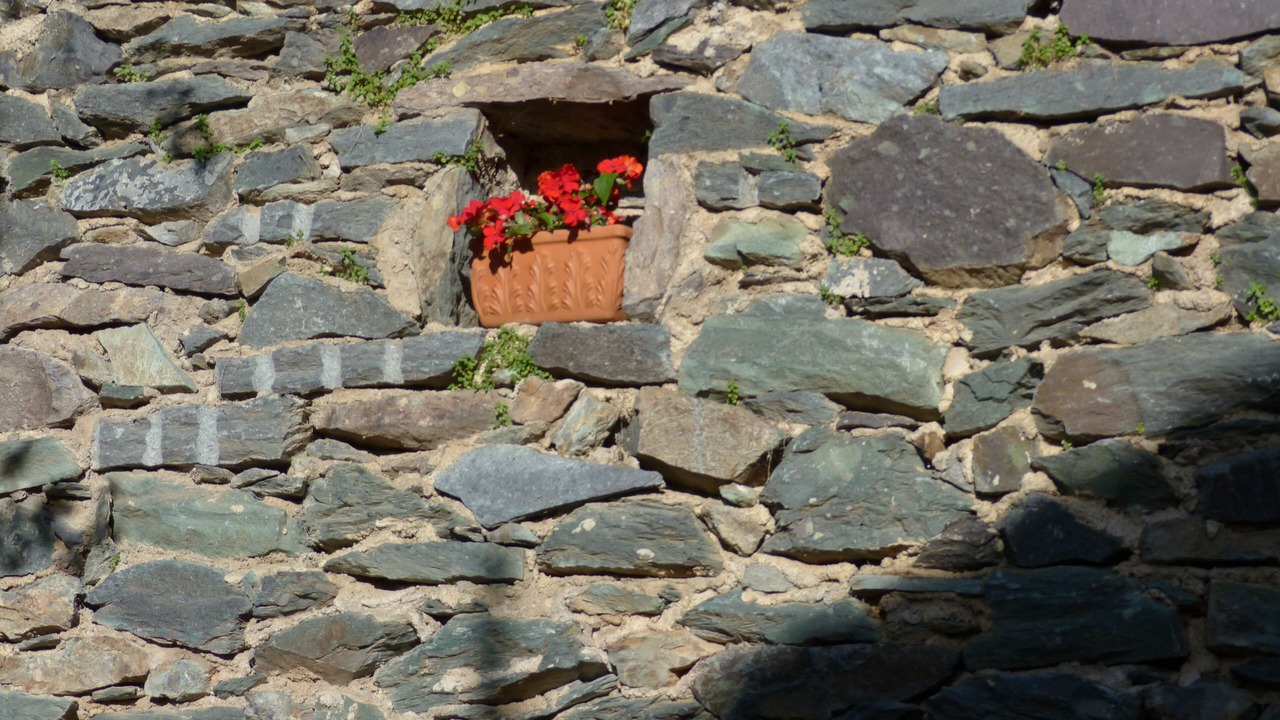 Photo of Outdoor in Livadi