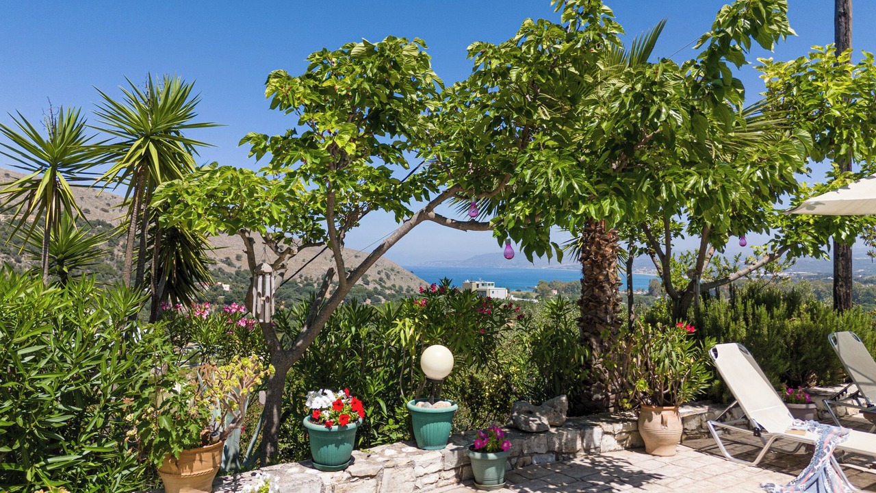 Photo of Patio Balcony in Exopoli