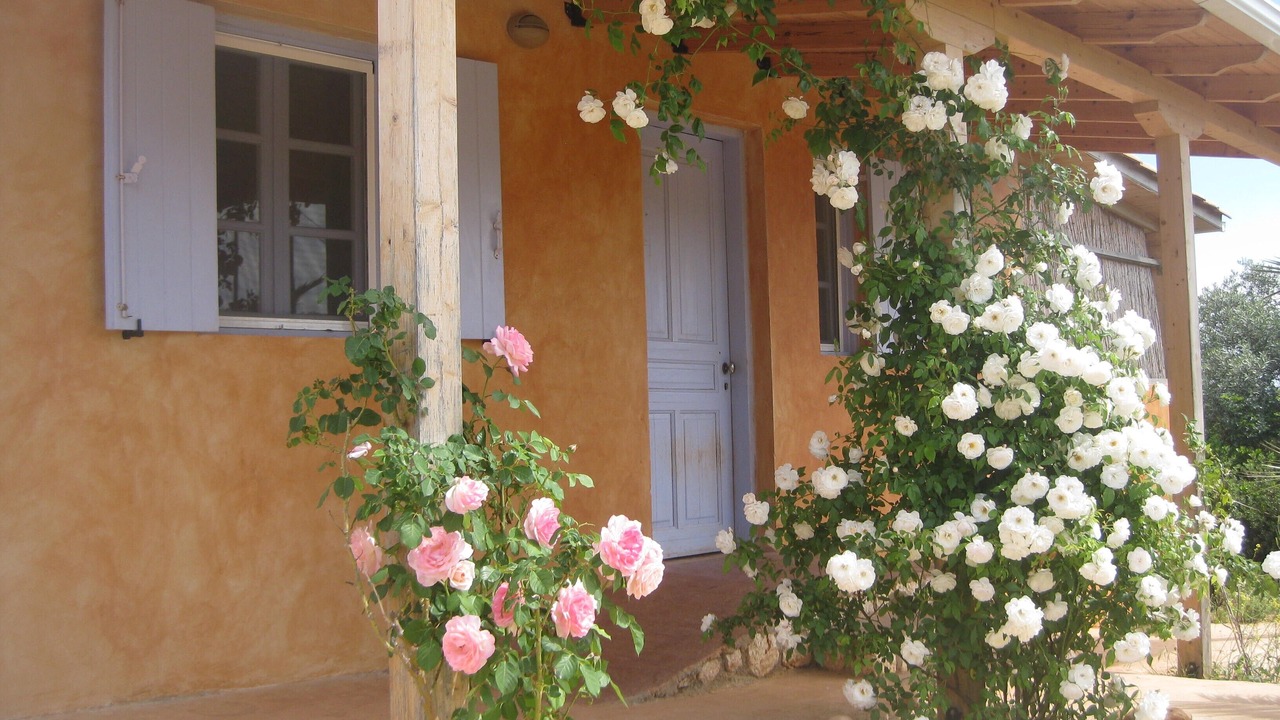 Photo of Outdoor in Kavallos