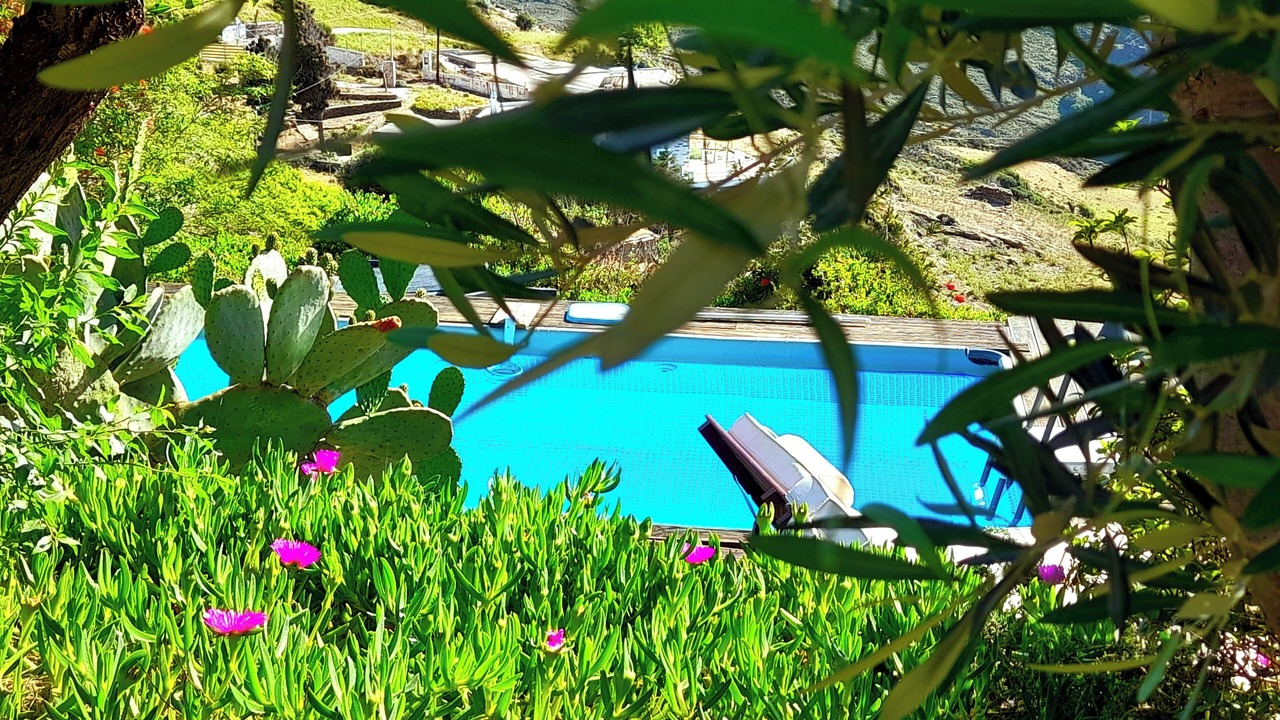 Photo of Outdoor in Andros