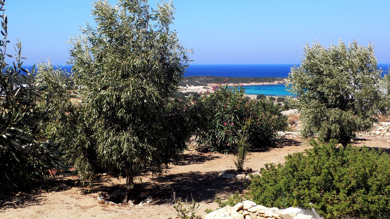 Photo of Others in Naxos