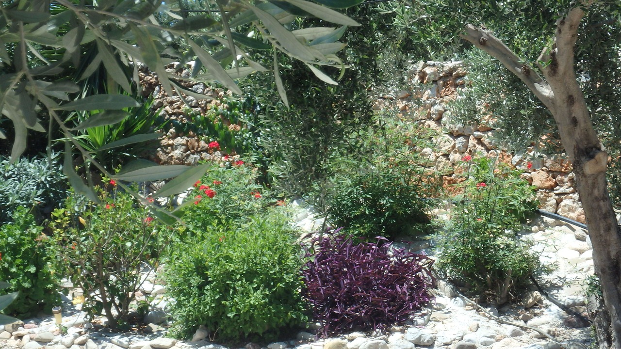 Photo of Outdoor in Kissamos