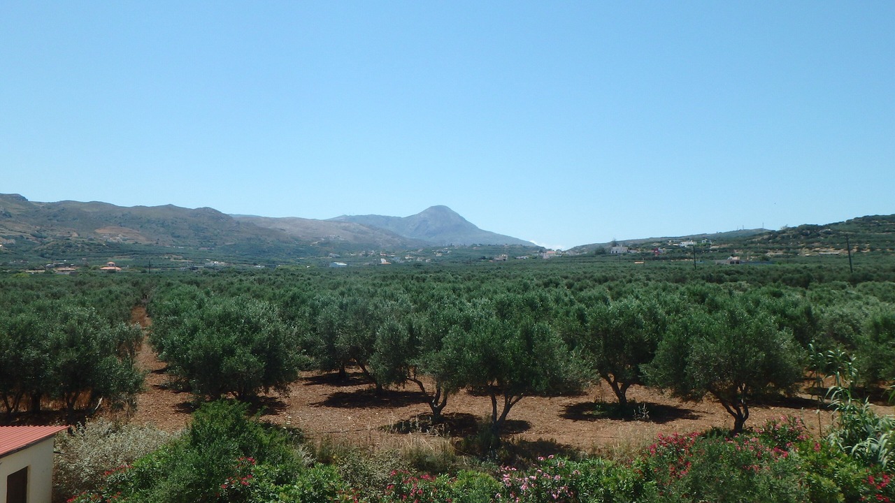 Photo of Others in Kissamos