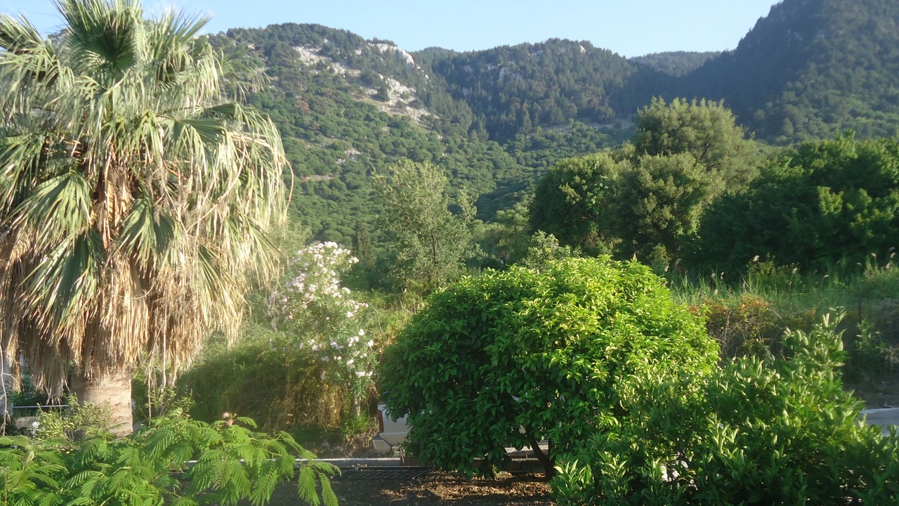 Photo of Outdoor in Salakos