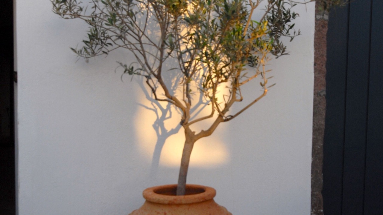 Photo of Others in Pyrgos