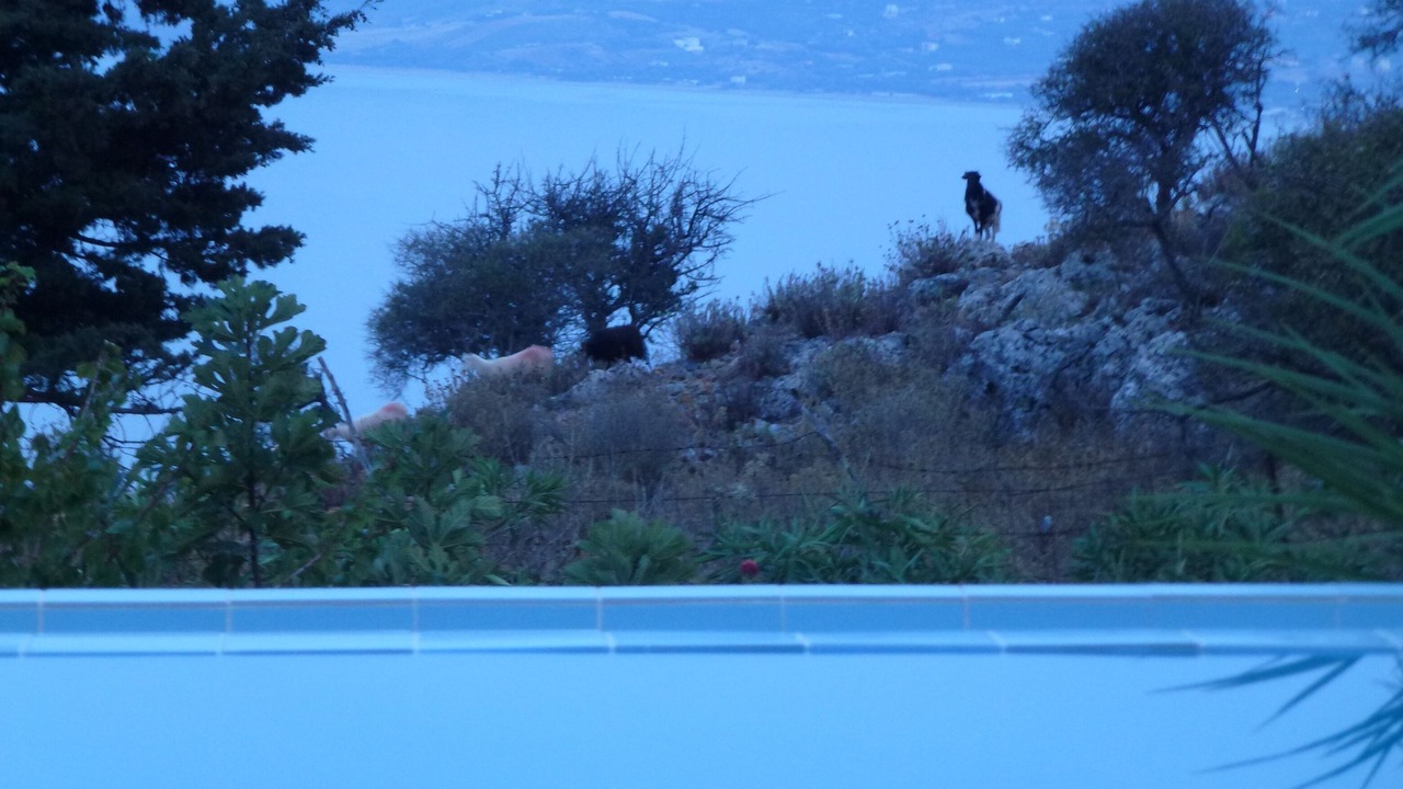 Photo of Outdoor in Likotinarea