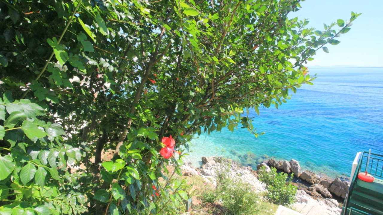 Photo of Others in Katavolos