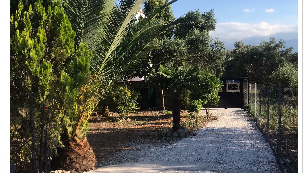 Photo of Others in Almyrida