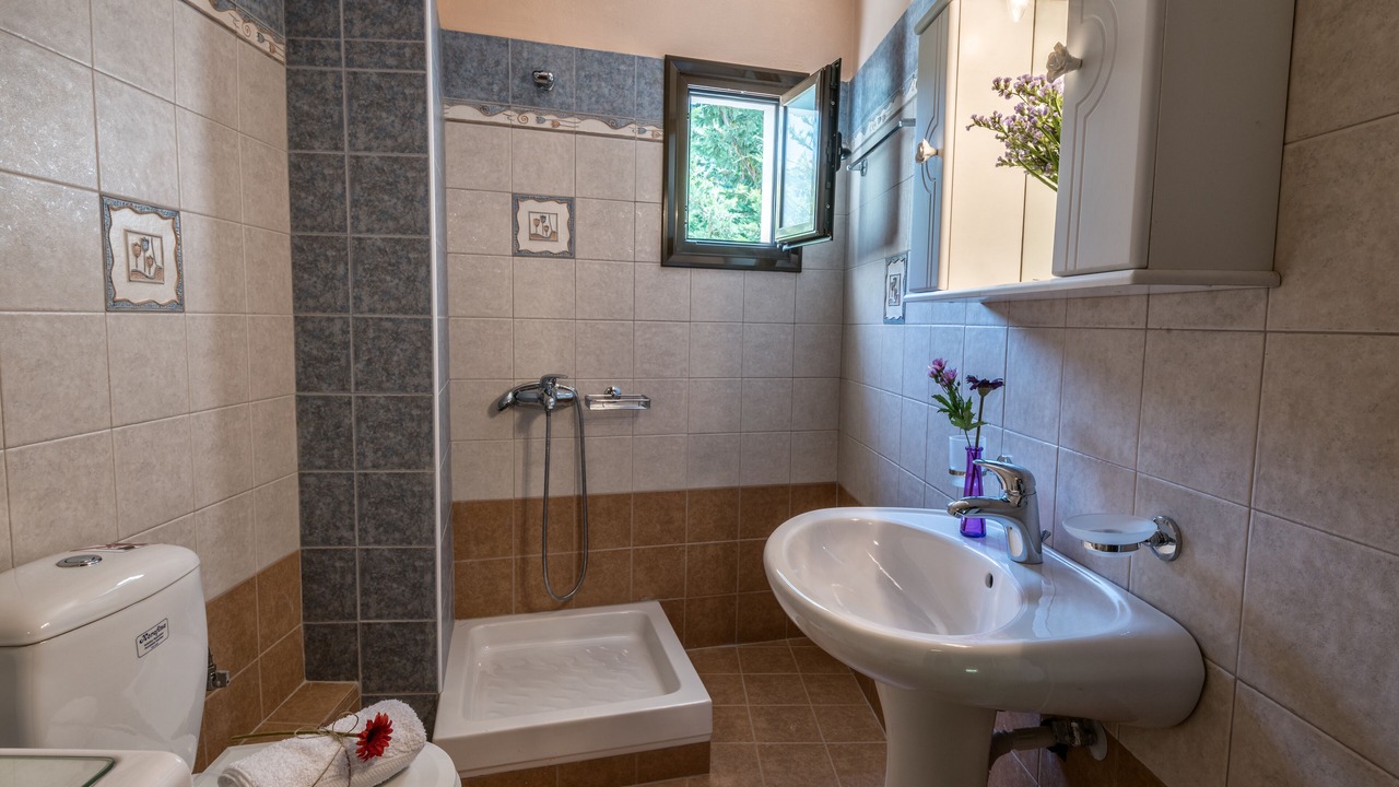 Photo of Bathroom in Prinos