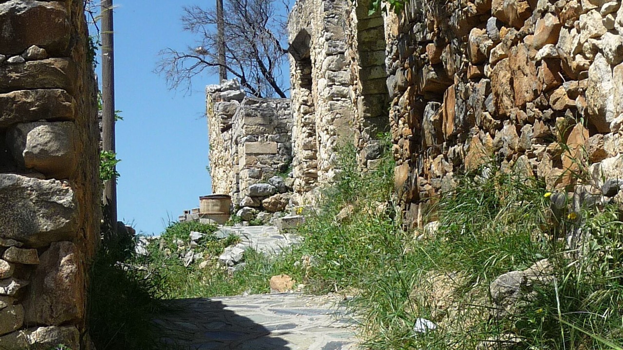 Photo of Others in Kounelion