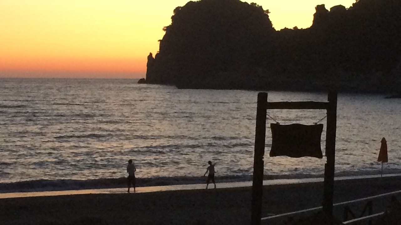 Photo of Others in Parelia