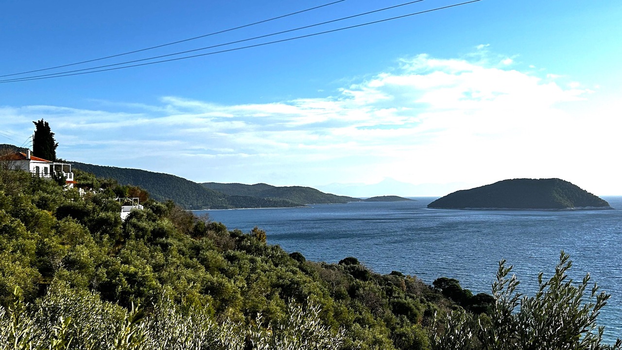 Photo of Others in Elios