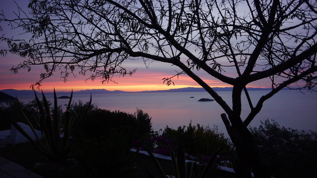 Photo of Others in Elios