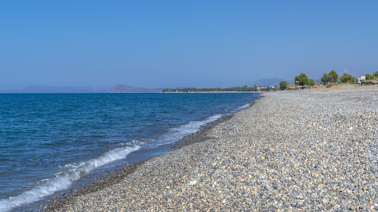 Photo of Others in Rapaniana