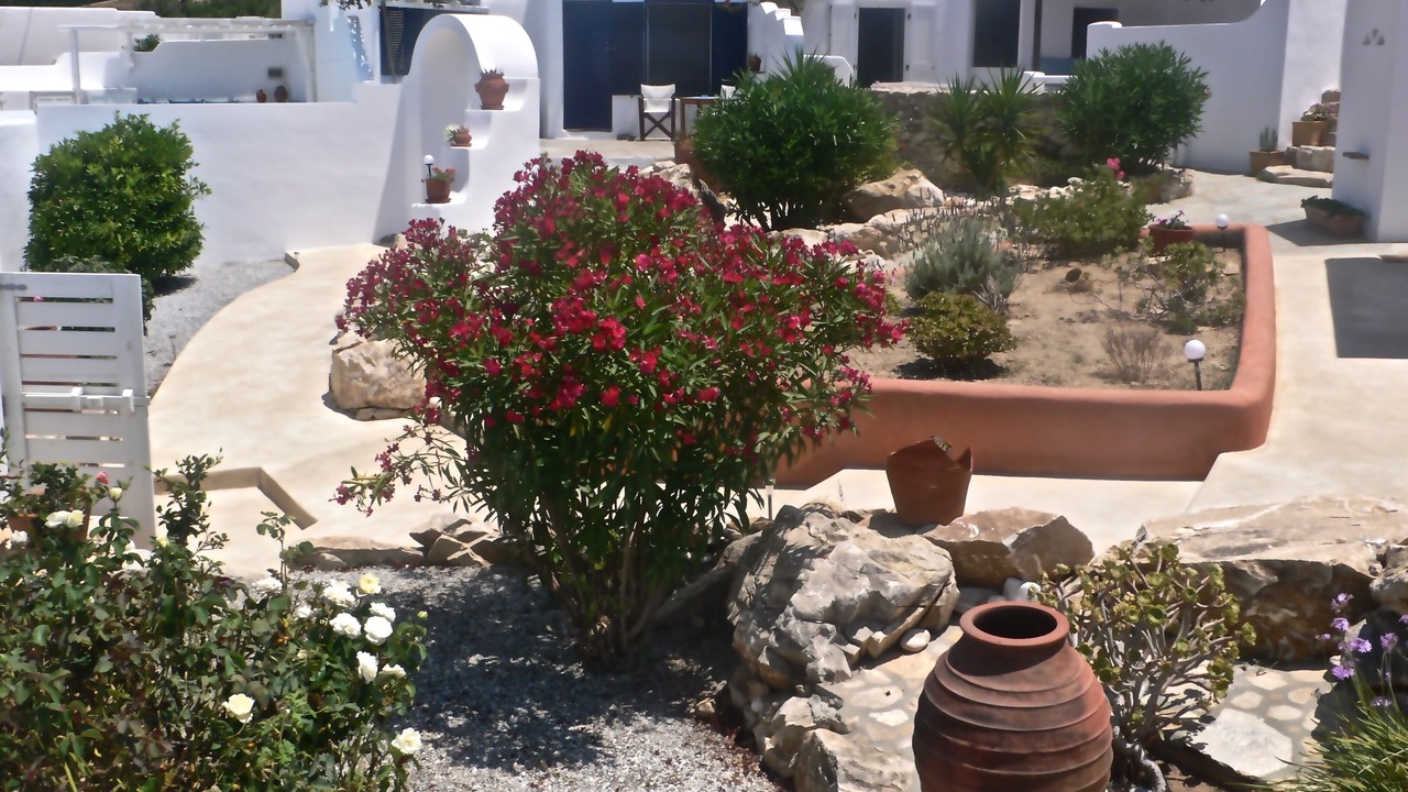 Photo of Others in Naxos