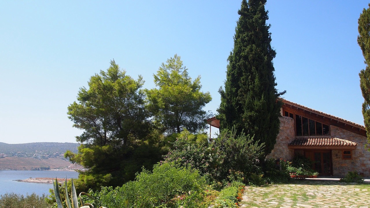 Photo of Outdoor in Daskalio