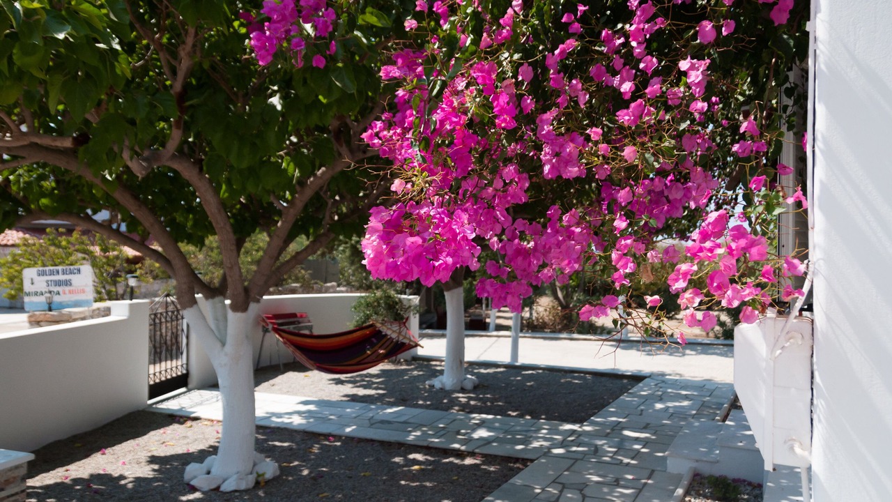 Photo of Outdoor in Naxos