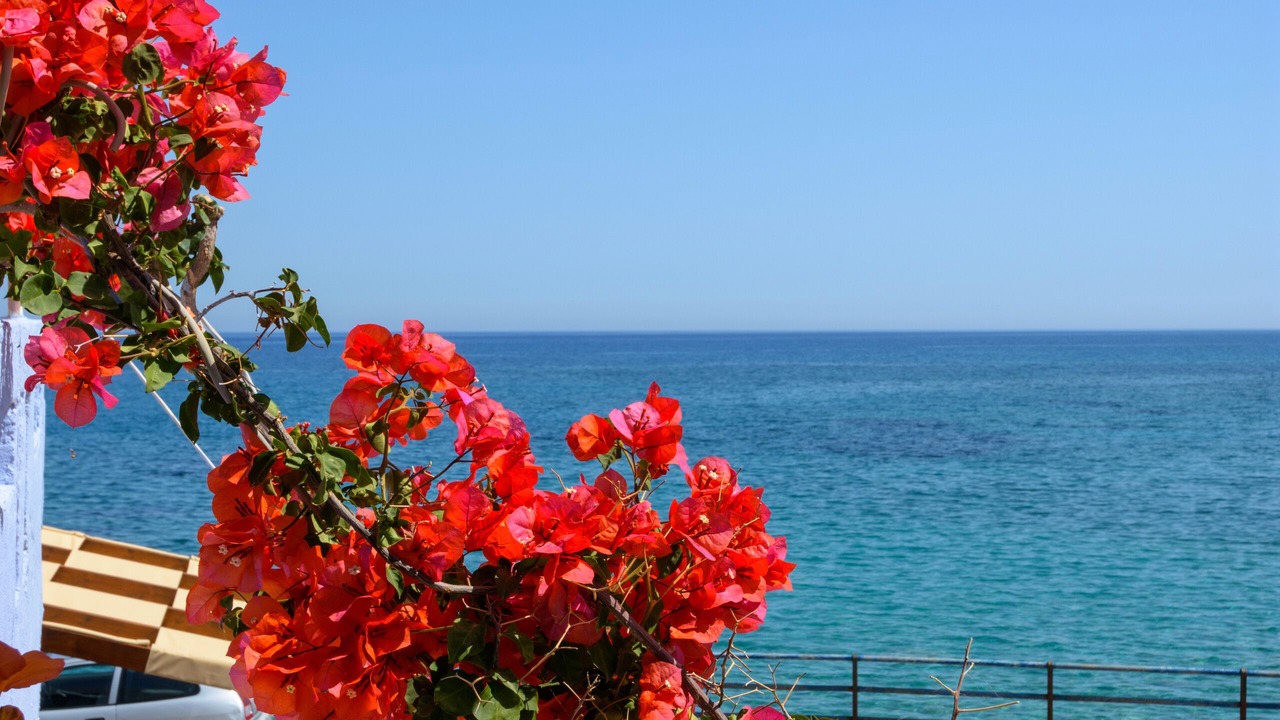 Photo of Outdoor in Milatos Beach