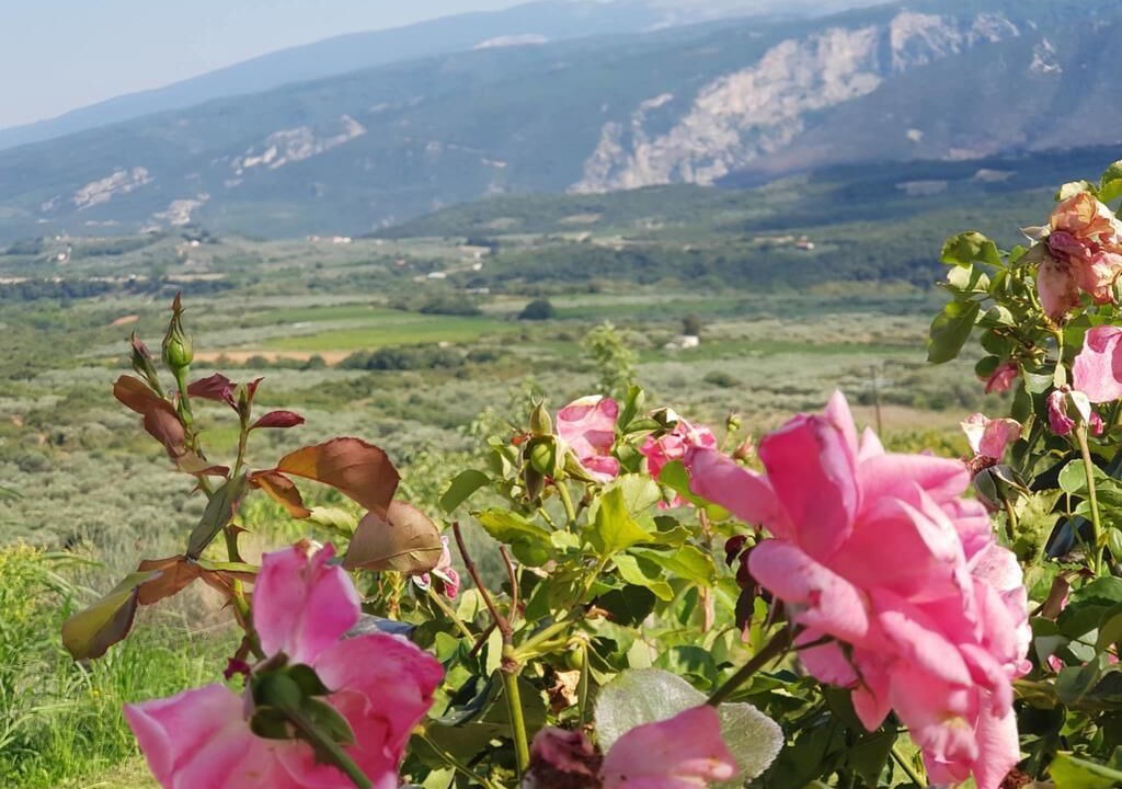 Photo of Outdoor in Tempi