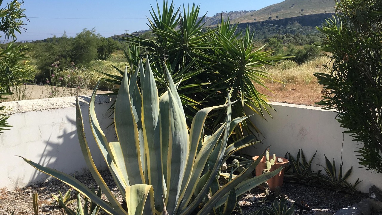 Photo of Outdoor in Lardos