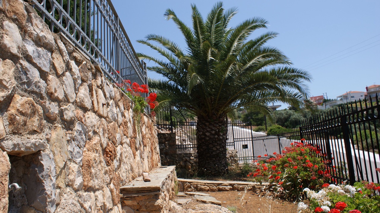 Photo of Outdoor in Theologos