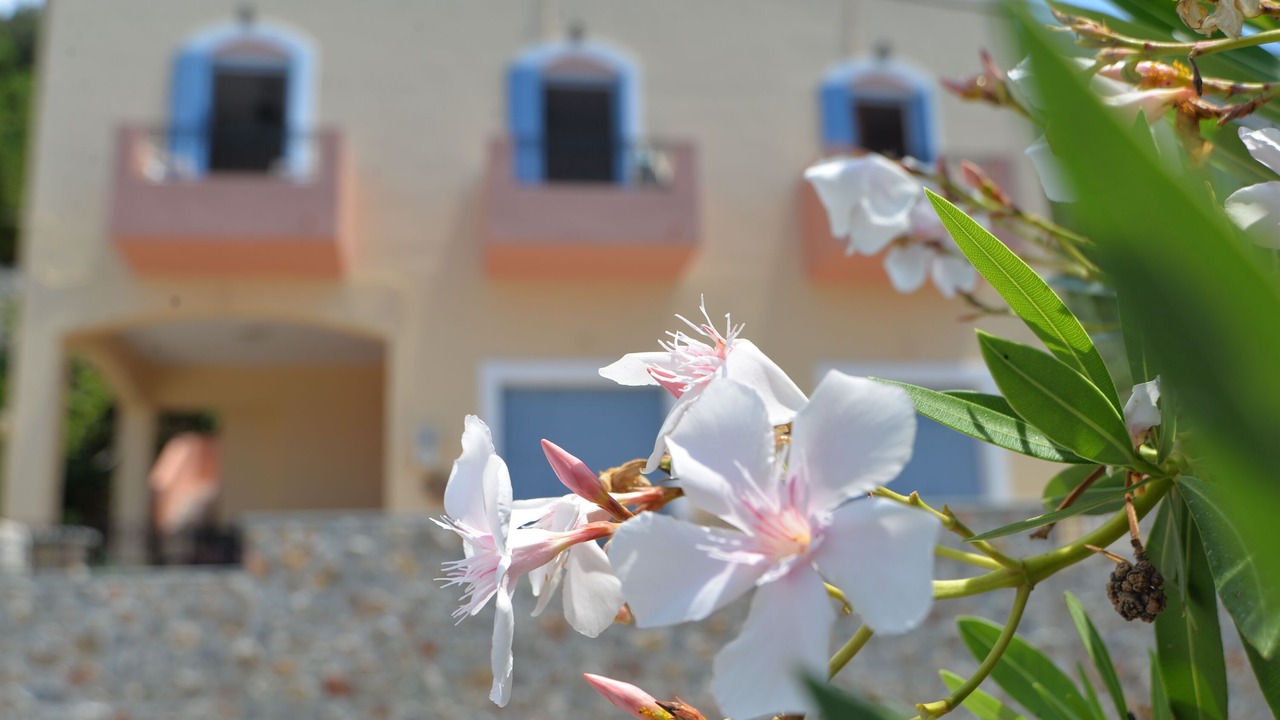 Photo of Outdoor in Kalymnos