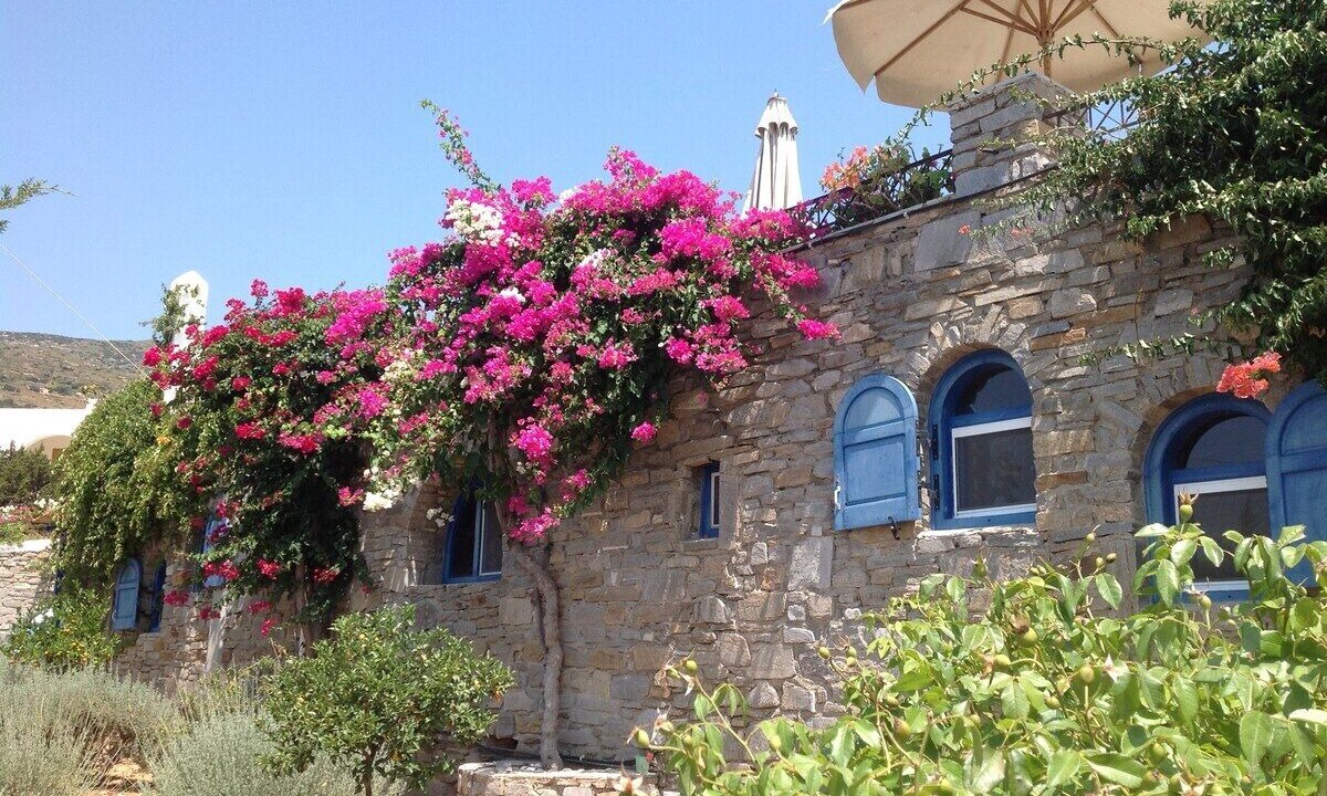 Photo of Outdoor in Paros
