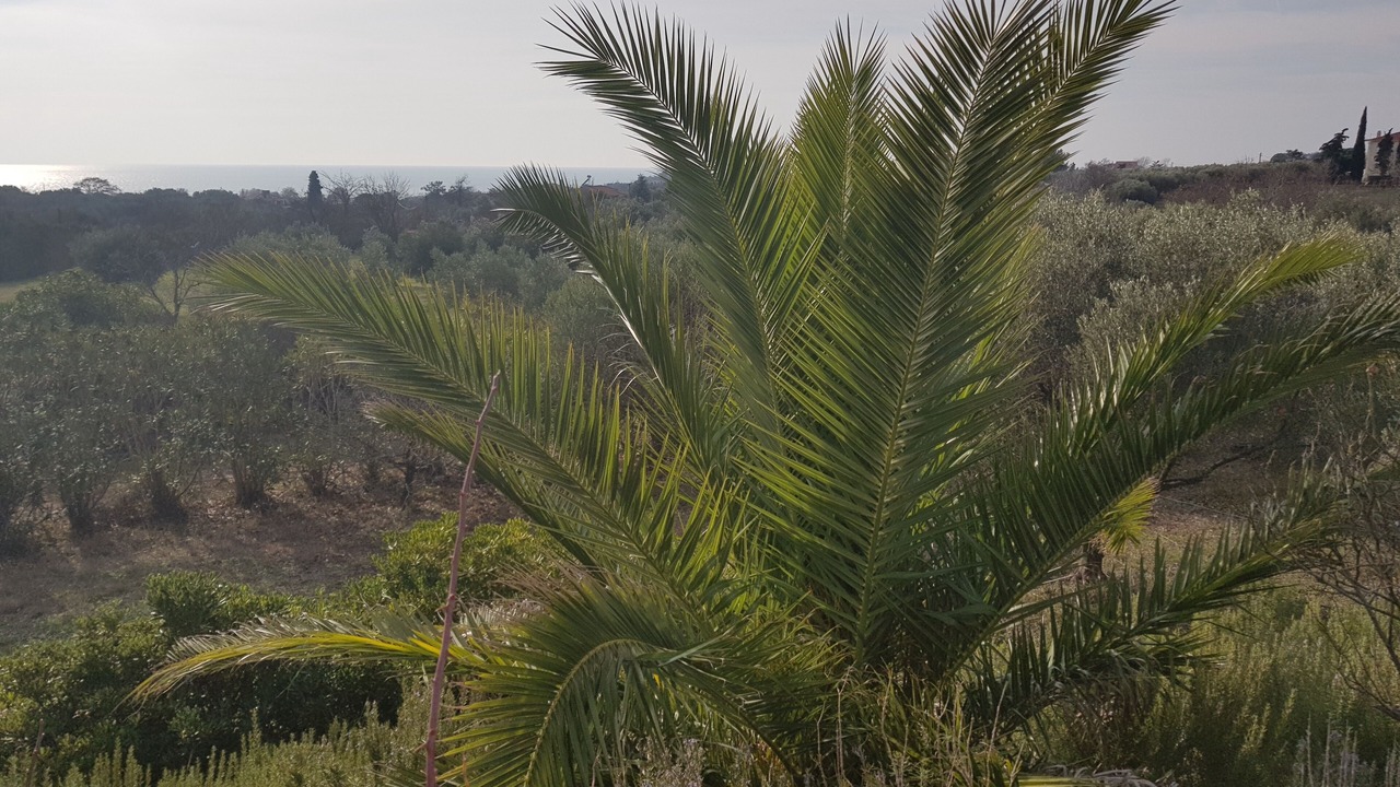 Photo of Outdoor in Alexandroupoli