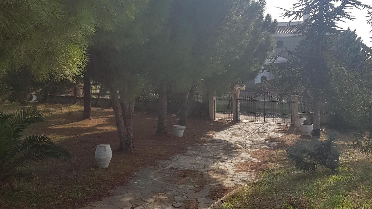 Photo of Outdoor in Alexandroupoli