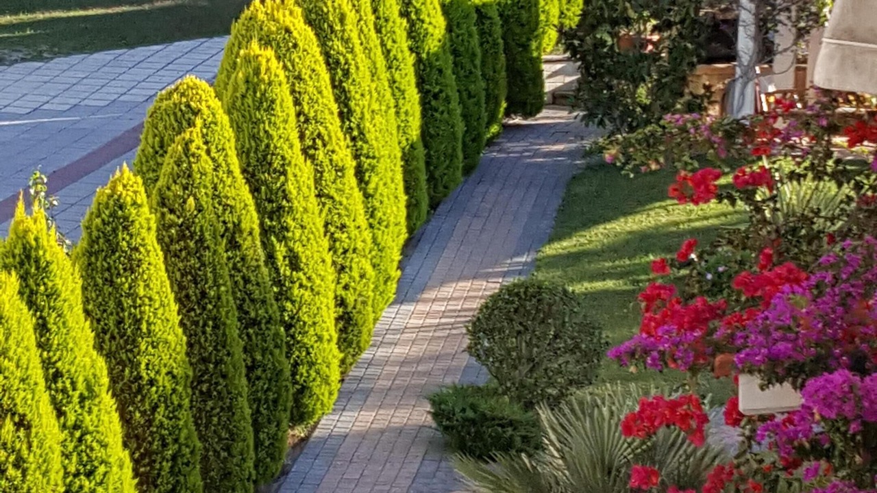 Photo of Outdoor in Polichrono