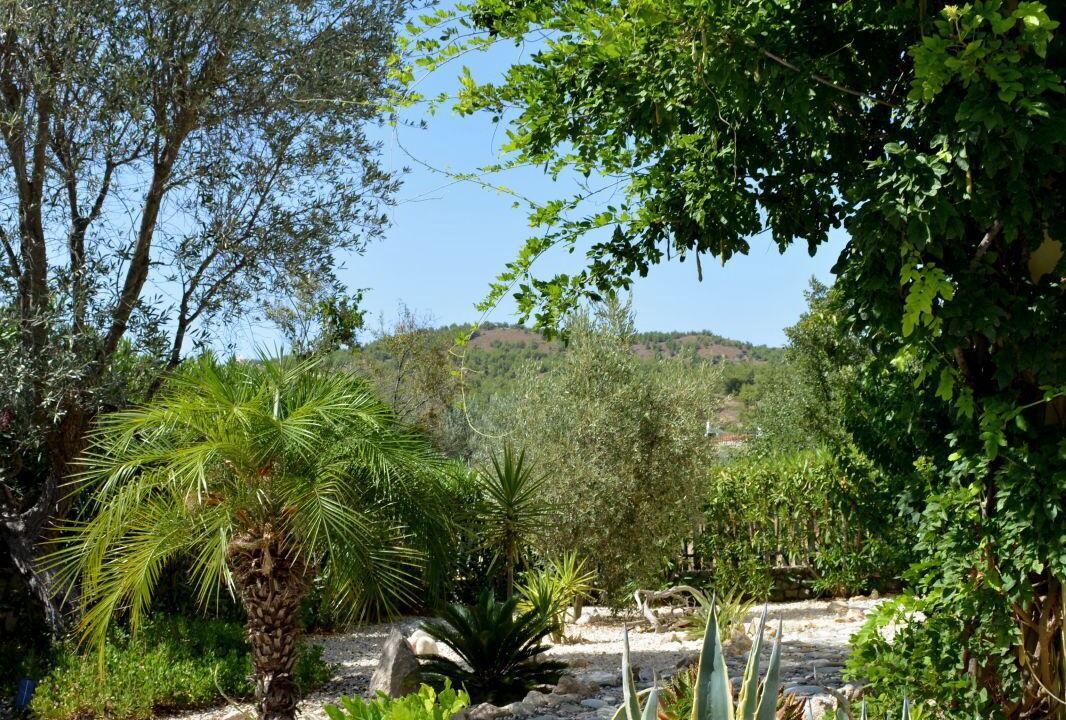 Photo of Outdoor in Lindos