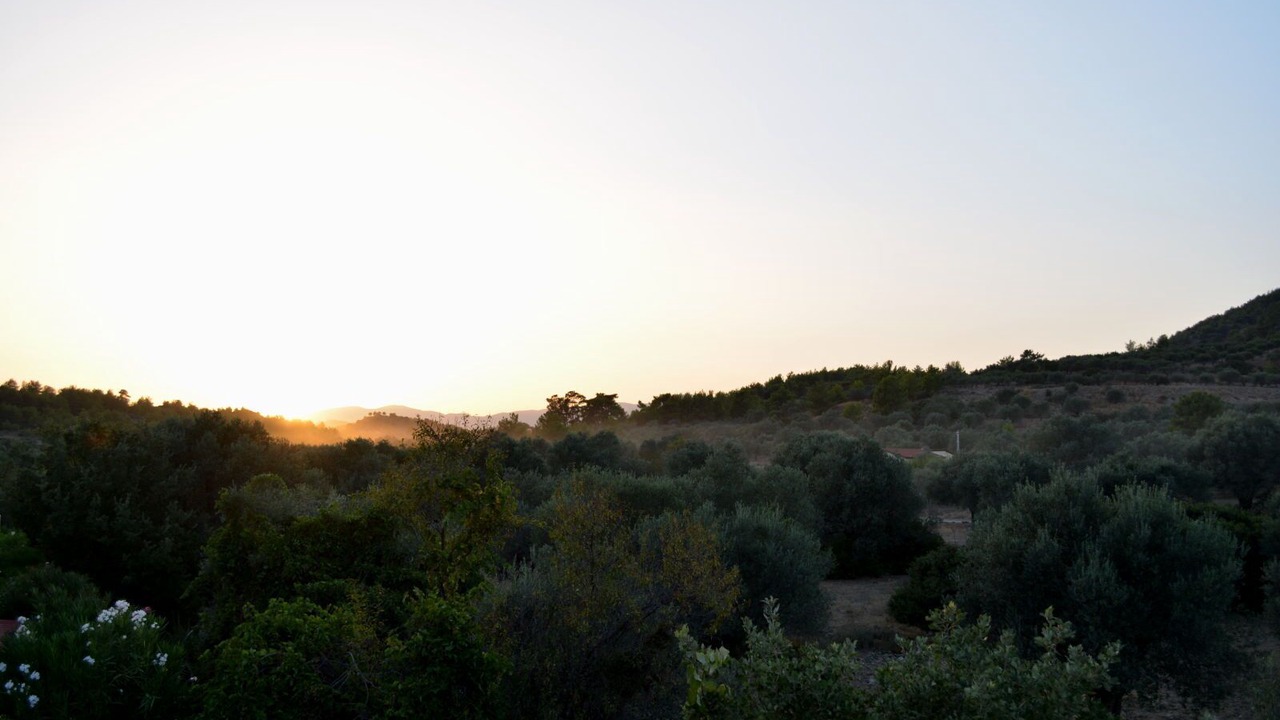 Photo of Others in Lindos