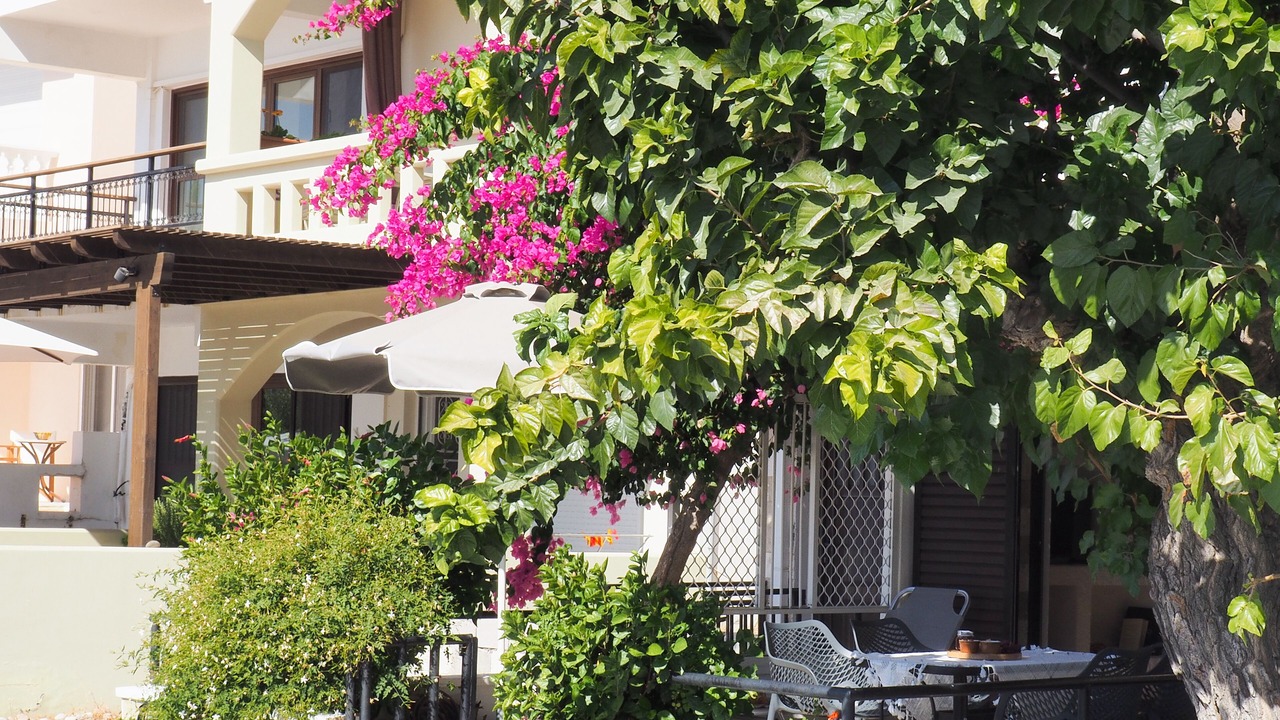 Photo of Outdoor in Haraki