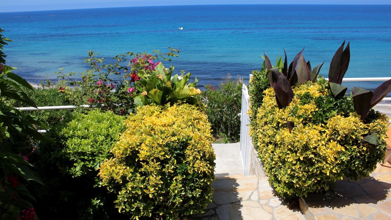 Photo of Outdoor in Skala