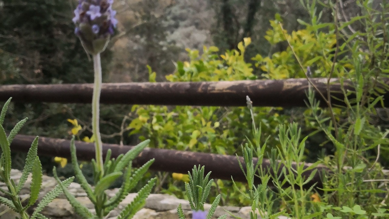 Photo of Outdoor in Agios Vasileios