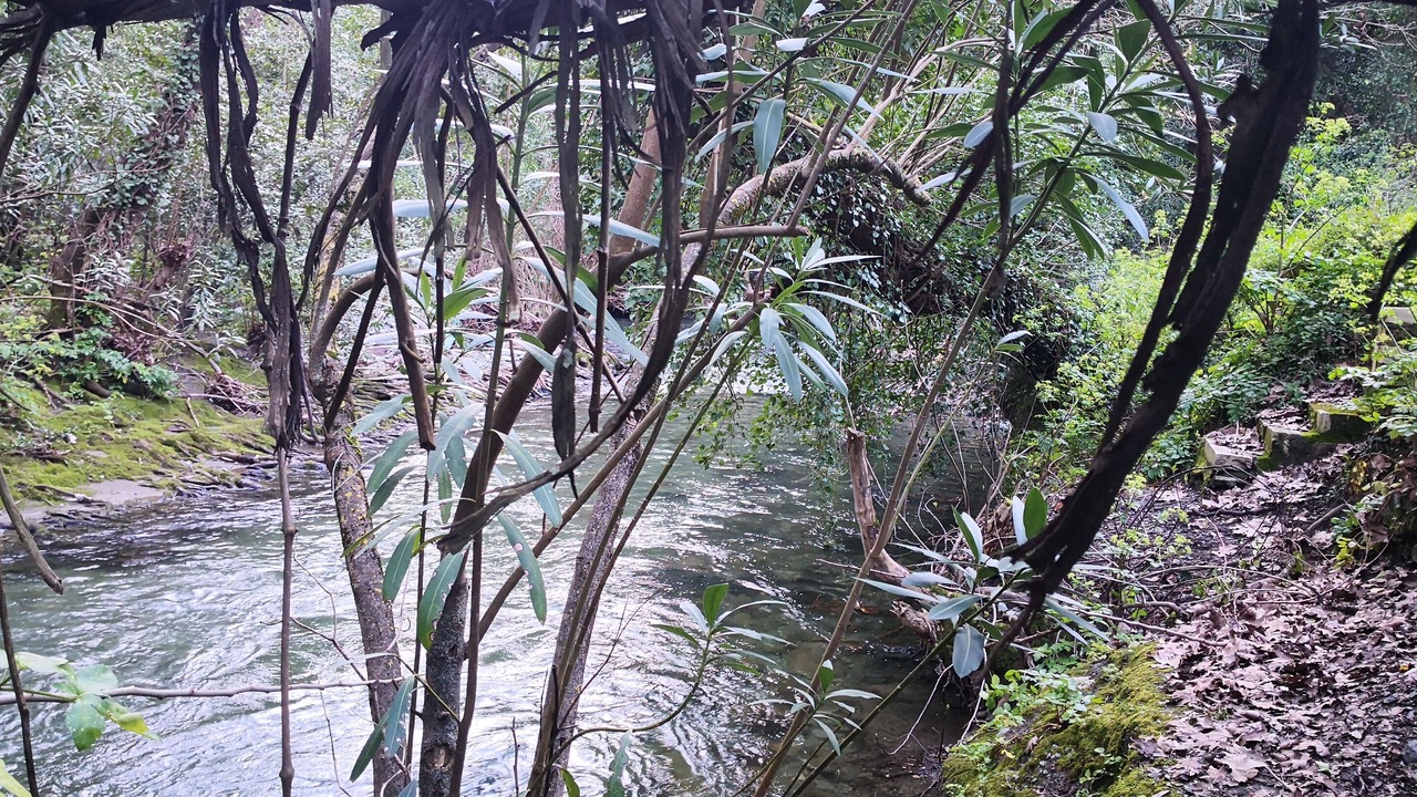 Photo of Outdoor in Agios Vasileios