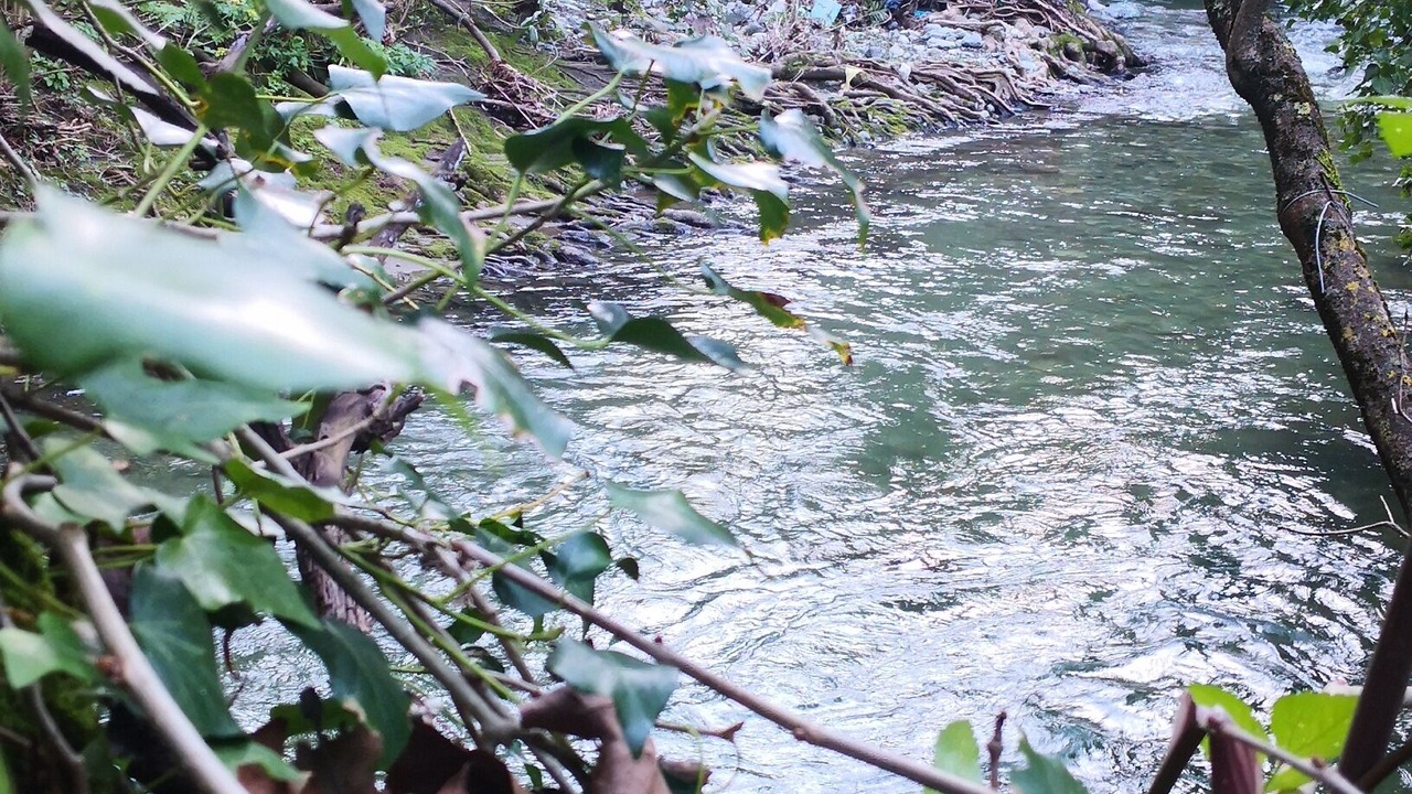 Photo of Outdoor in Agios Vasileios