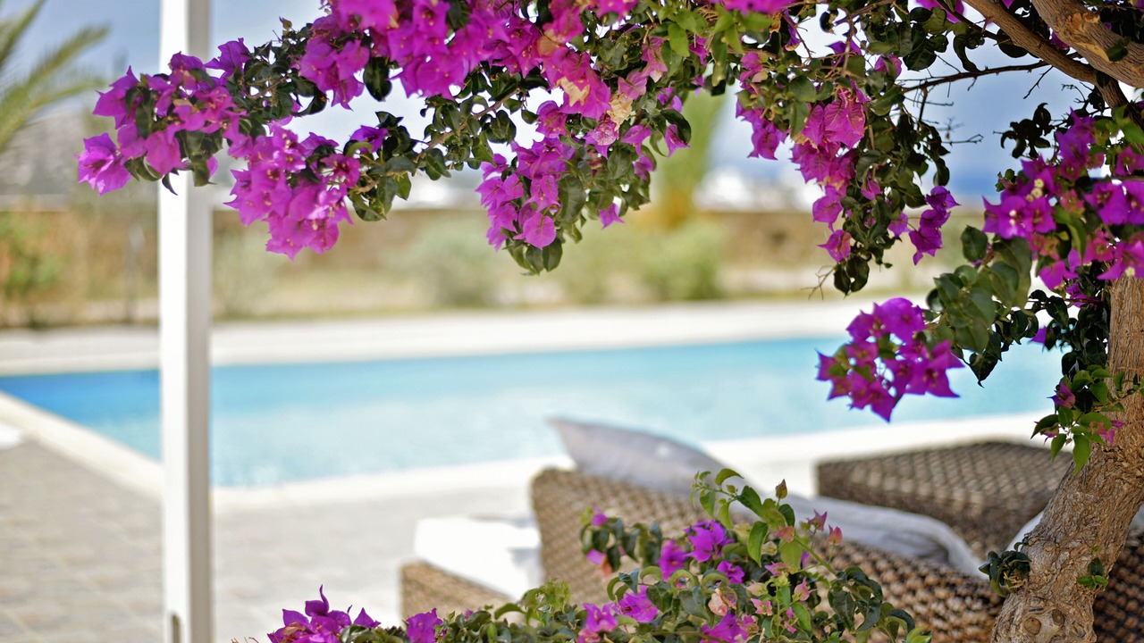 Photo of Outdoor in Maragas