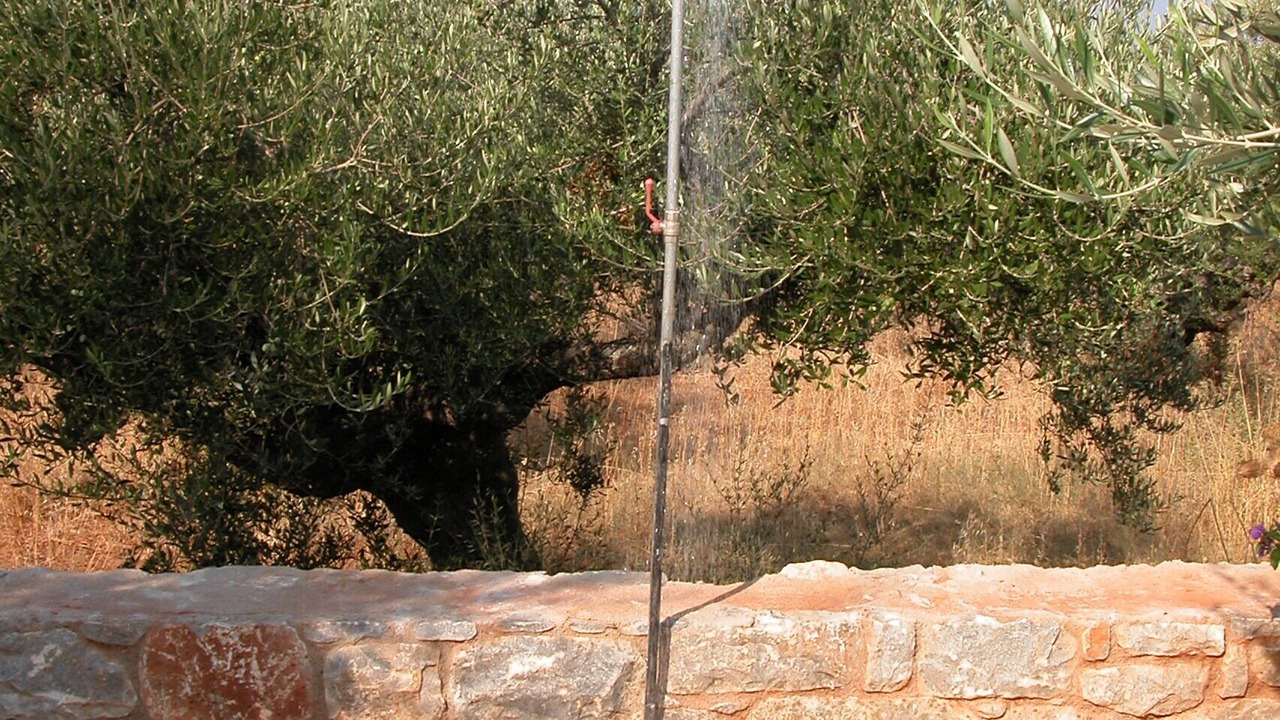 Photo of Outdoor in Lefktron
