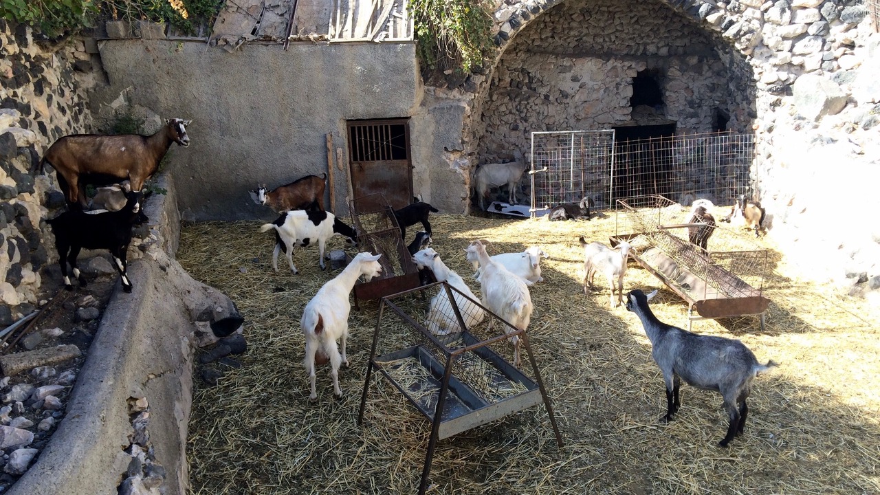 Photo of Outdoor in Emporio