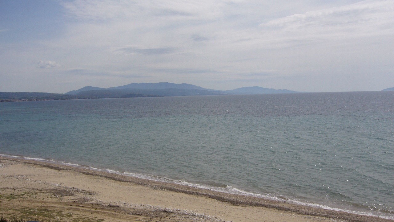 Photo of Others in Metamorfosi