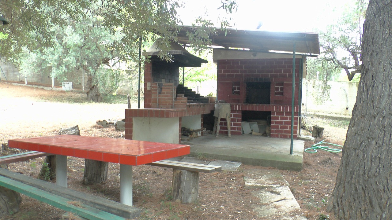 Photo of Others in Metamorfosi
