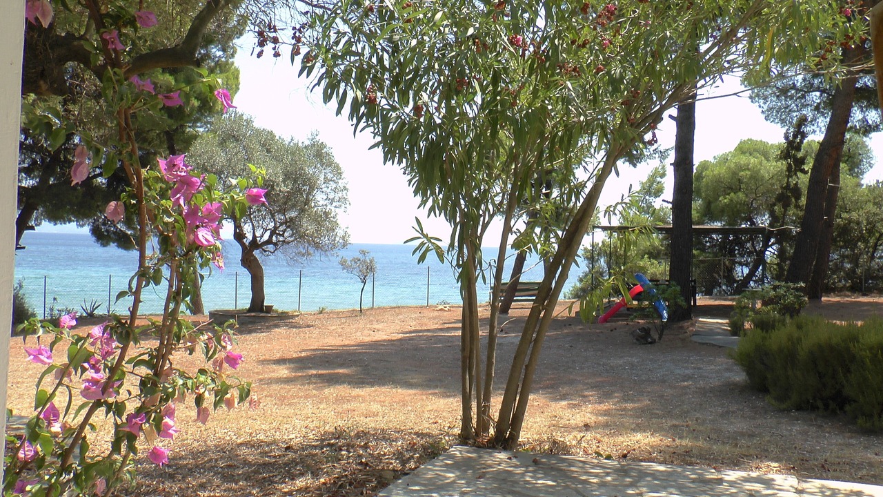 Photo of Others in Metamorfosi