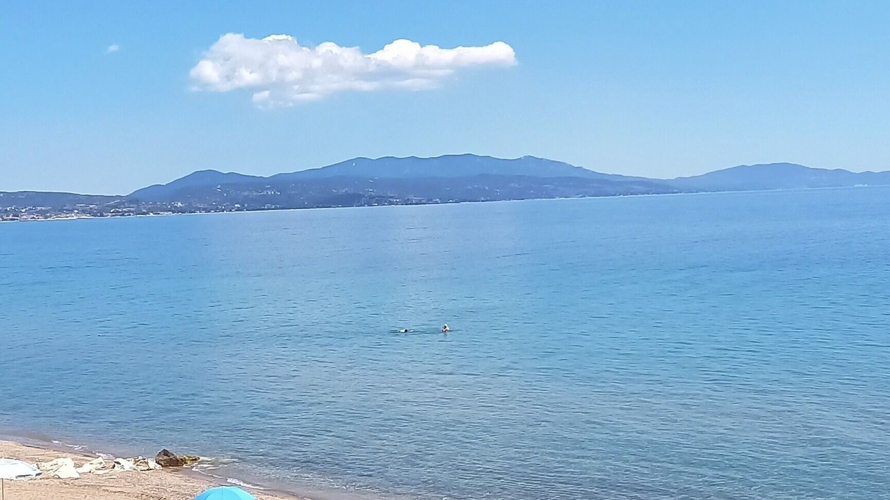 Photo of Others in Metamorfosi