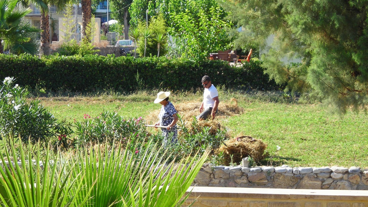 Photo of Outdoor in Nopigia