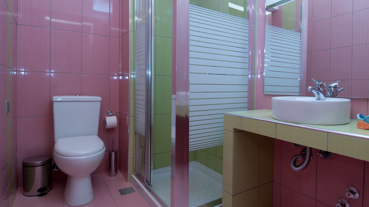 Photo of Bathroom in Steni Vala